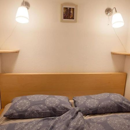 Gemuetliches 2P-Apartment In Ruhiger Lage Dresden Exteriör bild